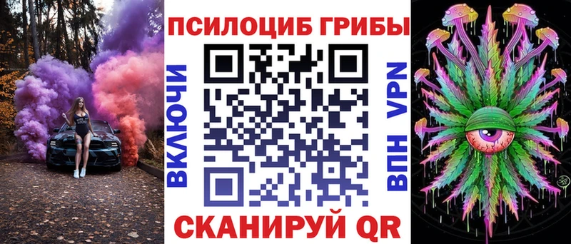 blacksprut   Братск  Галлюциногенные грибы Psilocybine cubensis 